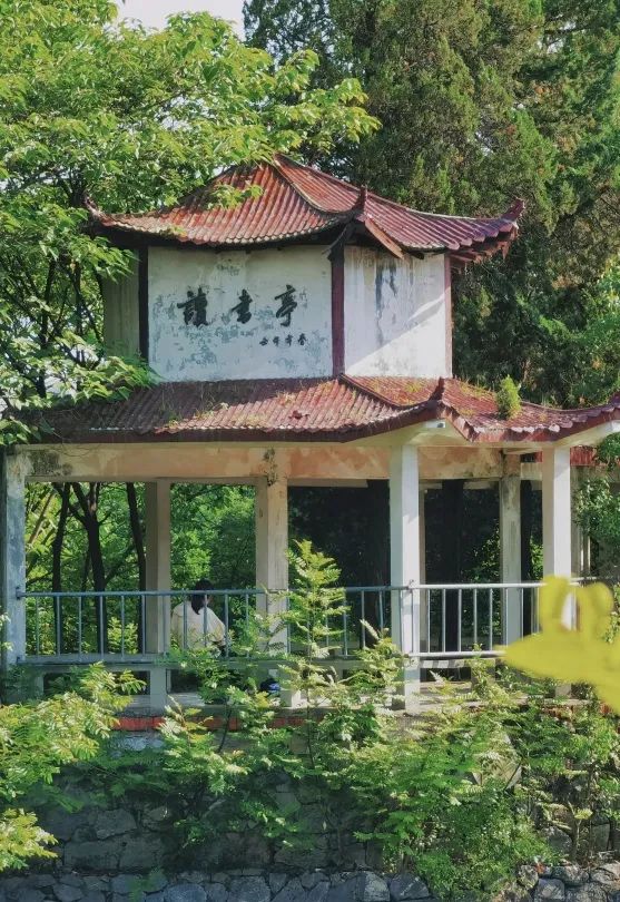安徽大学校长