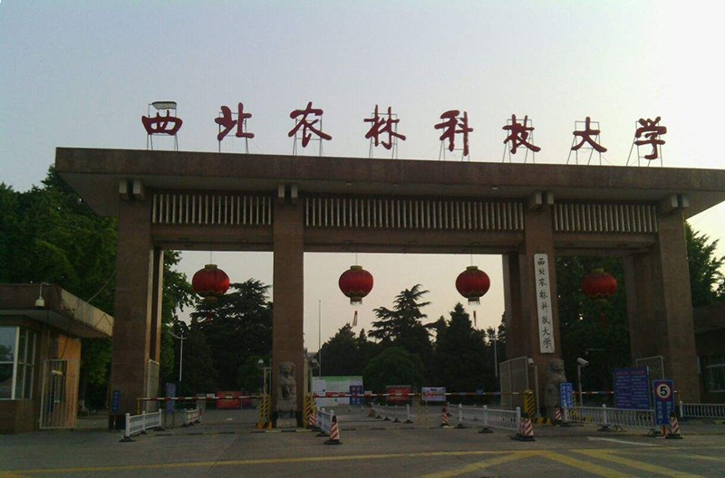 西北农林科技大学农学院